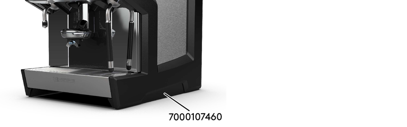 CameoLateralFootDeco.ai